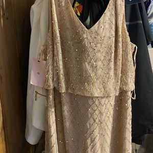 Bhldn dress has the tag still on it come down over feet